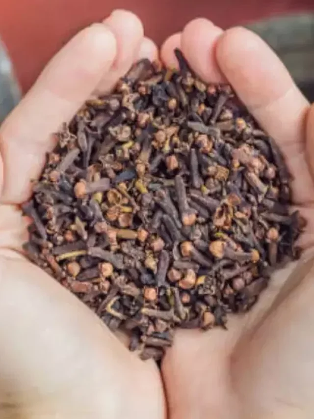 Benefits of Cloves: లవంగాలతో ప్రయోజనాలివే..!