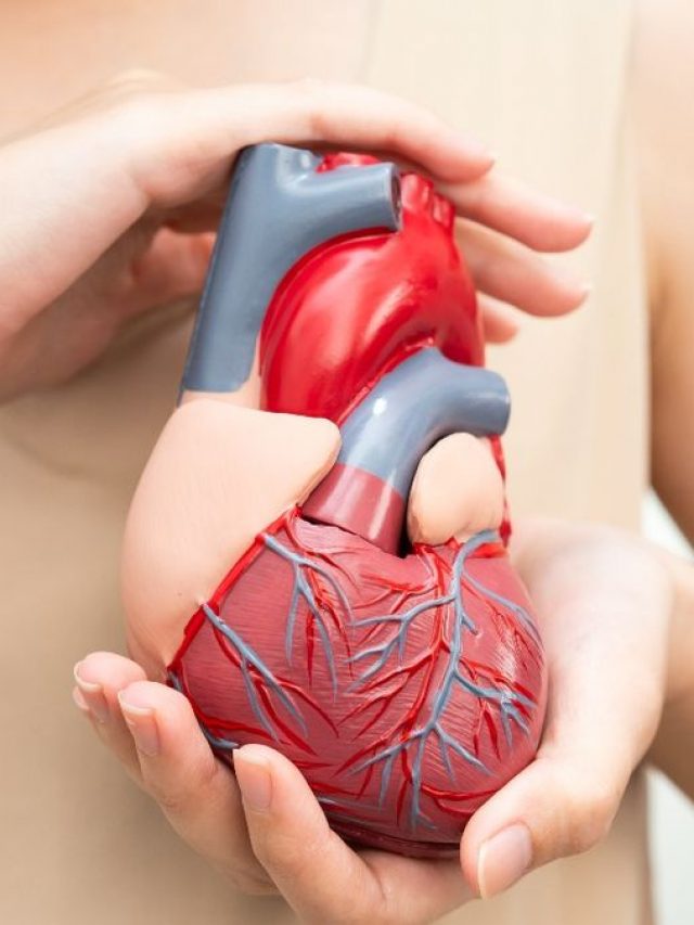 Heart Attack Prevention: గుండెపోటు నివారణకు జాగ్రత్తలివే!