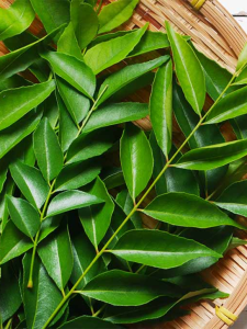 Curry Leaves: కరివేపాకు తింటే శరీరంలో జరిగేది ఇదే..!