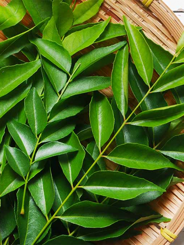 Curry Leaves: కరివేపాకు తింటే శరీరంలో జరిగేది ఇదే..!