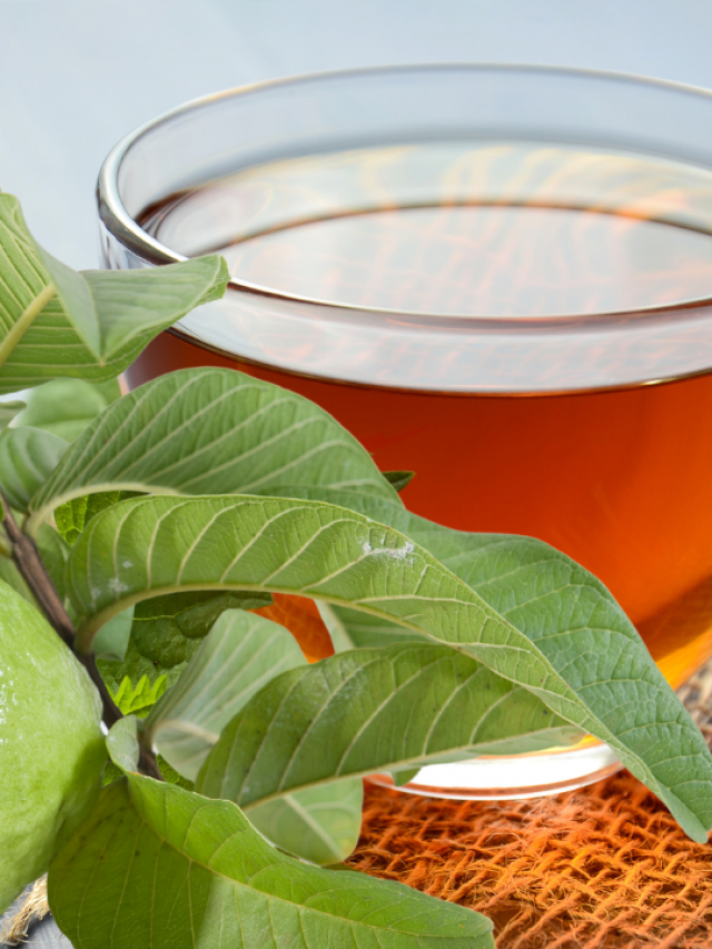 Guava Leaf Tea: జామ ఆకుల టీతో ఎన్నో ప్రయోజనాలు..!
