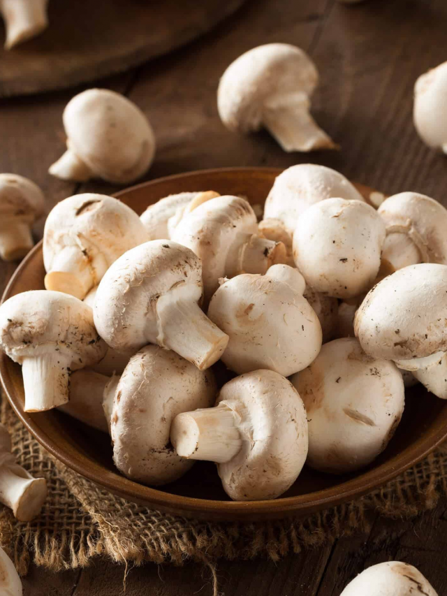 Mushrooms: పుట్టగొడుగులు తింటే కలిగే లాభాలివే..!