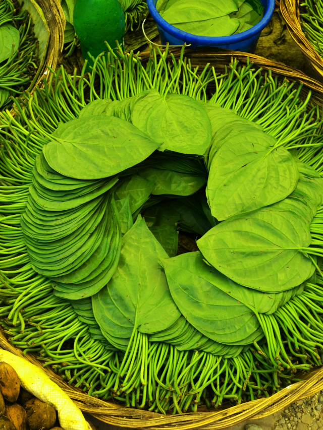 Betel Leaves: తమలపాకులు తింటే కలిగే ప్రయోజనాలివే..!