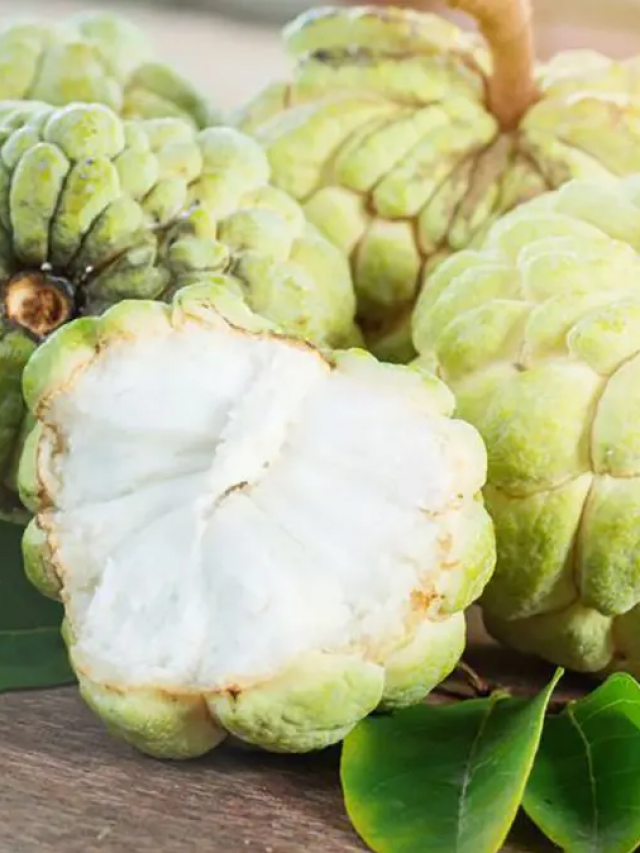 Custard Apple: ఈ పండ్ల సీజన్ వచ్చేసింది.. రోజూ తింటే లాభాలివే..!