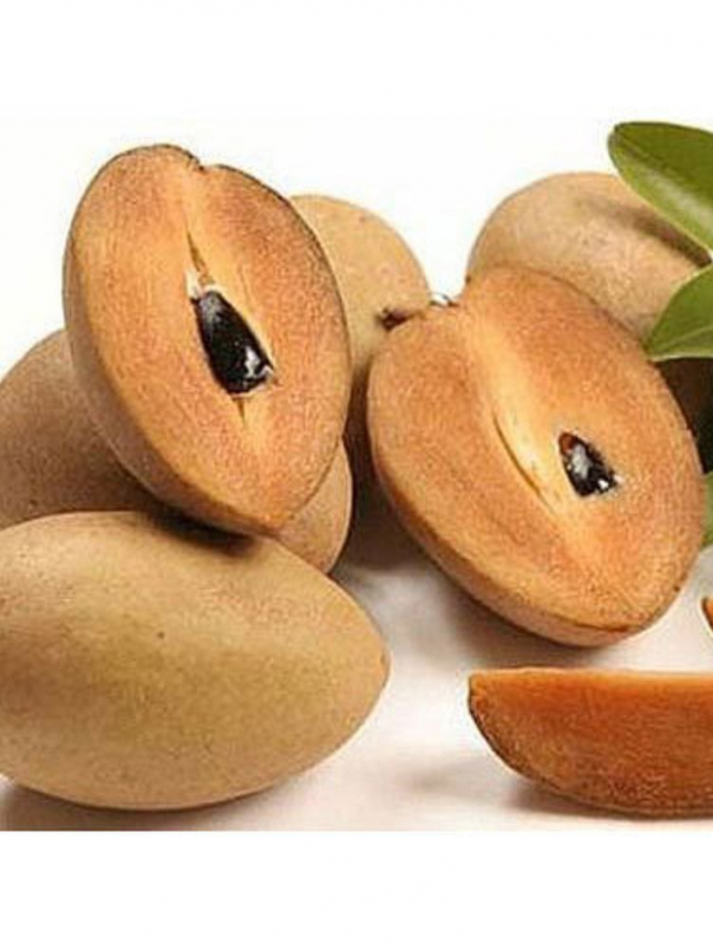 Sapota: స‌పోటా పండ్ల‌తో అద్భుత‌మైన లాభాలు!