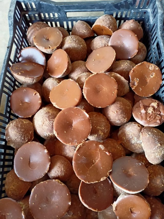 Thati Bellam Health Benifts: తాటి బెల్లంతో ఆరోగ్య ప్రయోజనాలివే!