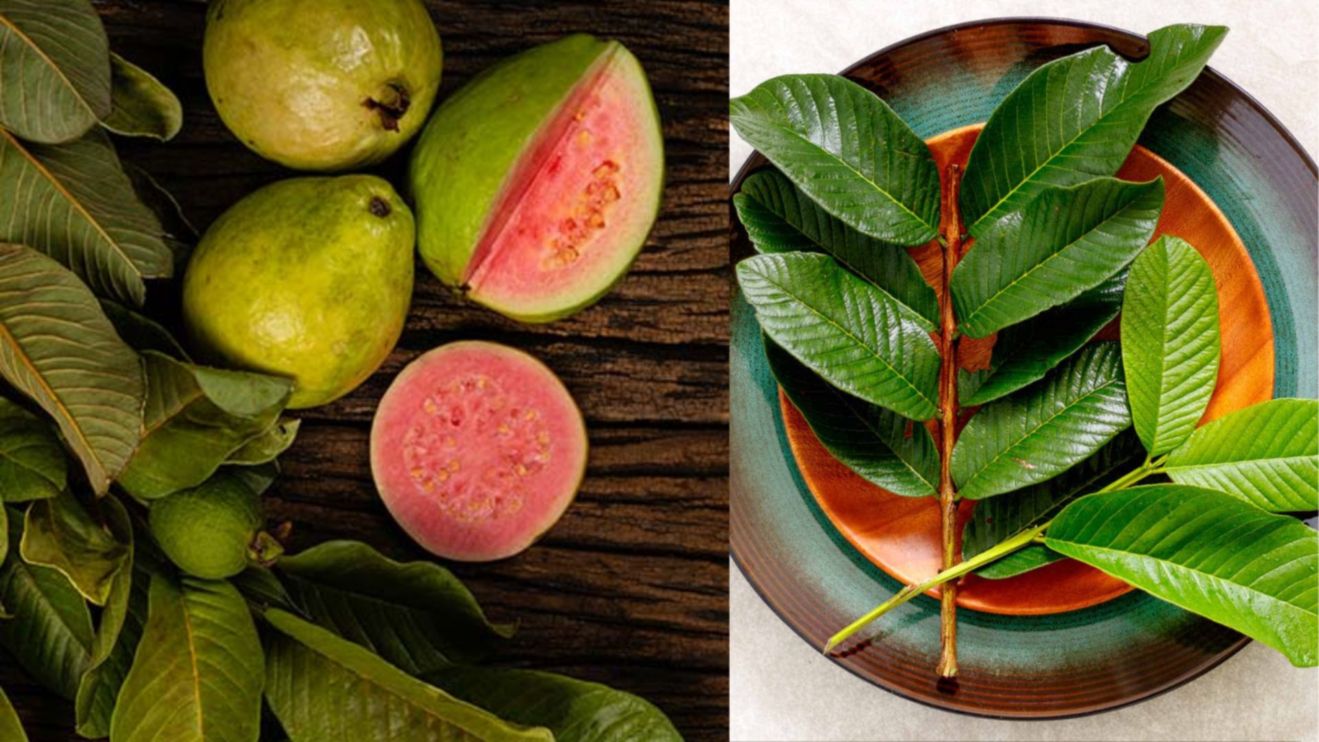 Guava: డయాబెటిస్ రోగులకు ఈ పండు ఓ వరం..!
