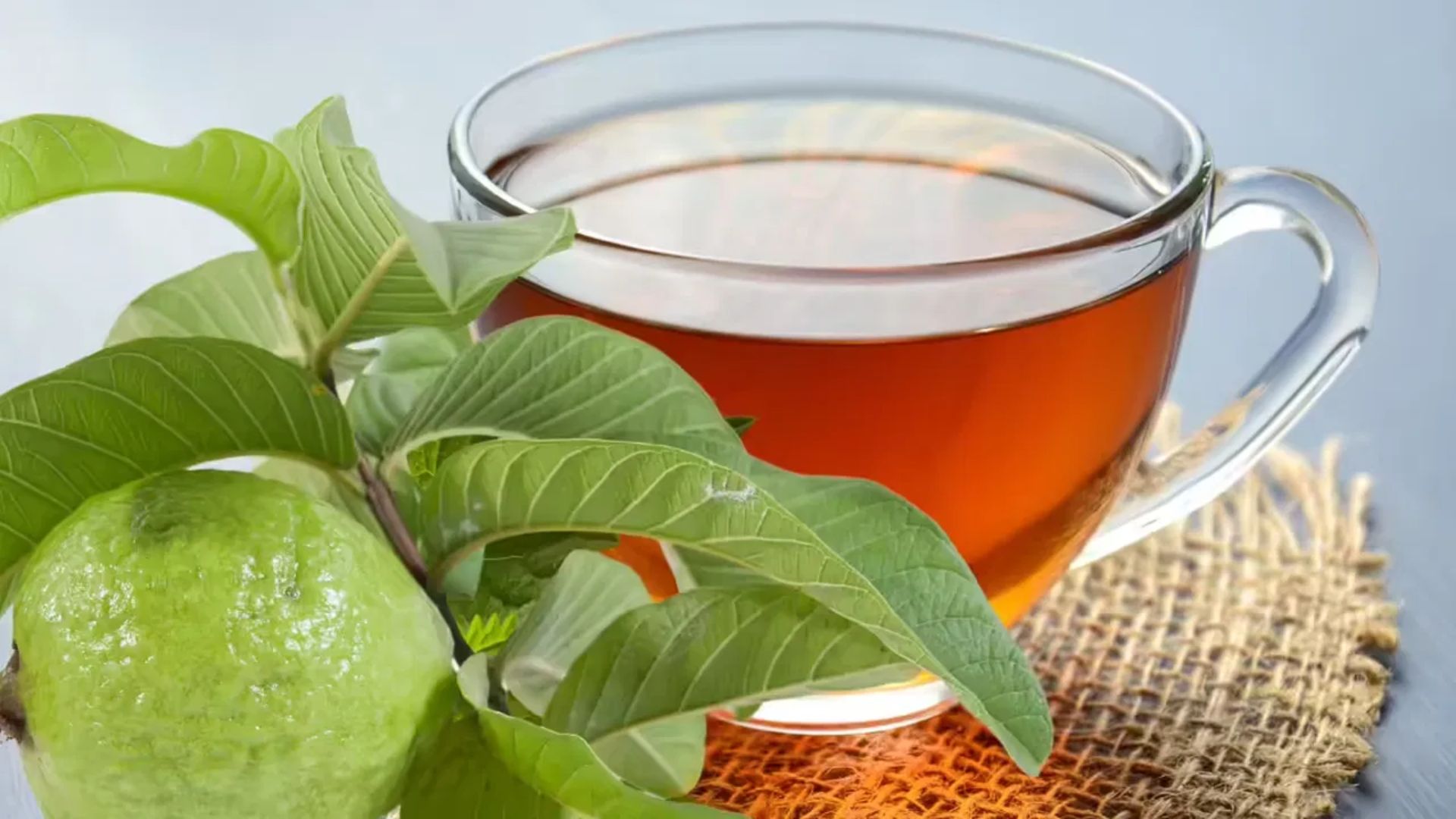 Guava Leaf Tea: జామ ఆకుల టీ తాగితే ఎన్నో ప్రయోజనాలు..!