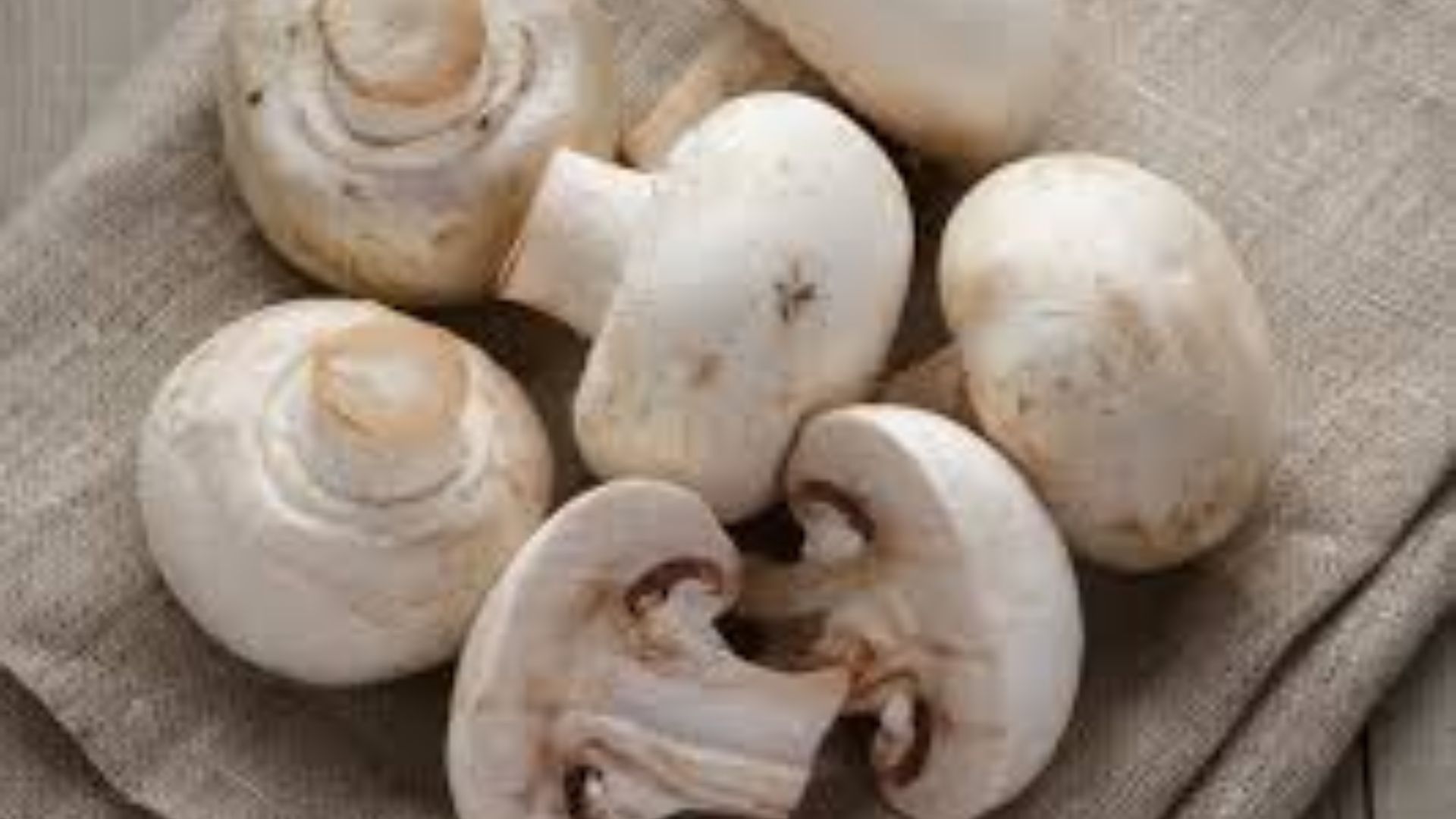 Mushrooms: పుట్టగొడుగులు రెగ్యులర్‌గా తింటే ఎన్ని లాభాలో తెలుసా?