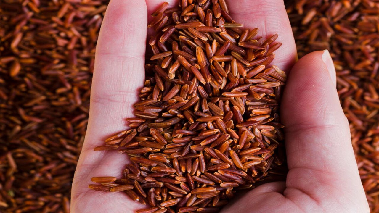 RED Rice Benefits: రెడ్ రైస్ తో ఆరోగ్య ప్రజోనాలెన్నో..! షుగర్, బరువు తగ్గటం, గుండె వ్యాధులకు చాలా ఉపయోగం.!