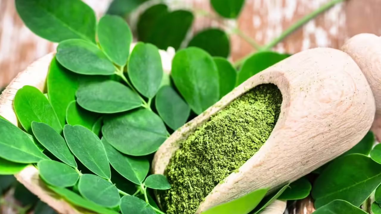 Moringa Powder: మునగాకు పొడితో 5 అద్భుతమైన ఆరోగ్య ప్రయోజనాలు..!