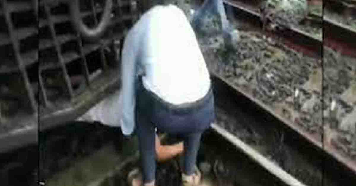 senior citizen narrowly escaped death