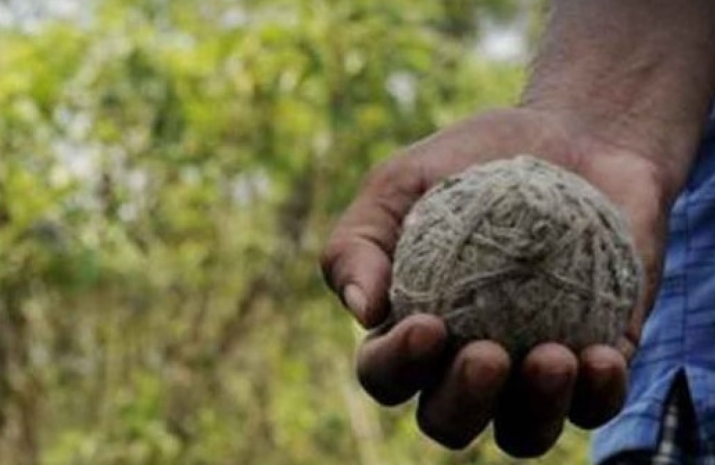 Crude bombs were hurled at RSS Payyannur office.