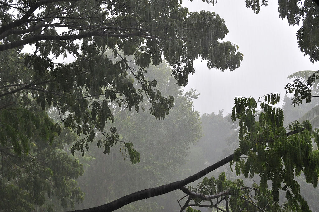 Dakshina Kannada and Udupi deputy commissioner have directed college and school administrations to declare holidays for 5 and 6 July.