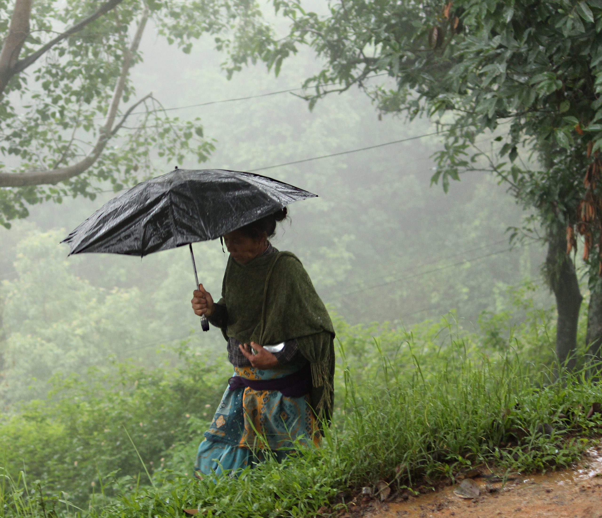 Kerala rain (Creative Commons) Heavy rain in Kerala
