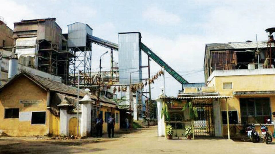 MySugar Factory Supplied MySugar was fated to resume operation in July 2022 but its revival seems unrealistic with cane growers lingering in inconvenience. (Credit: Supplied)