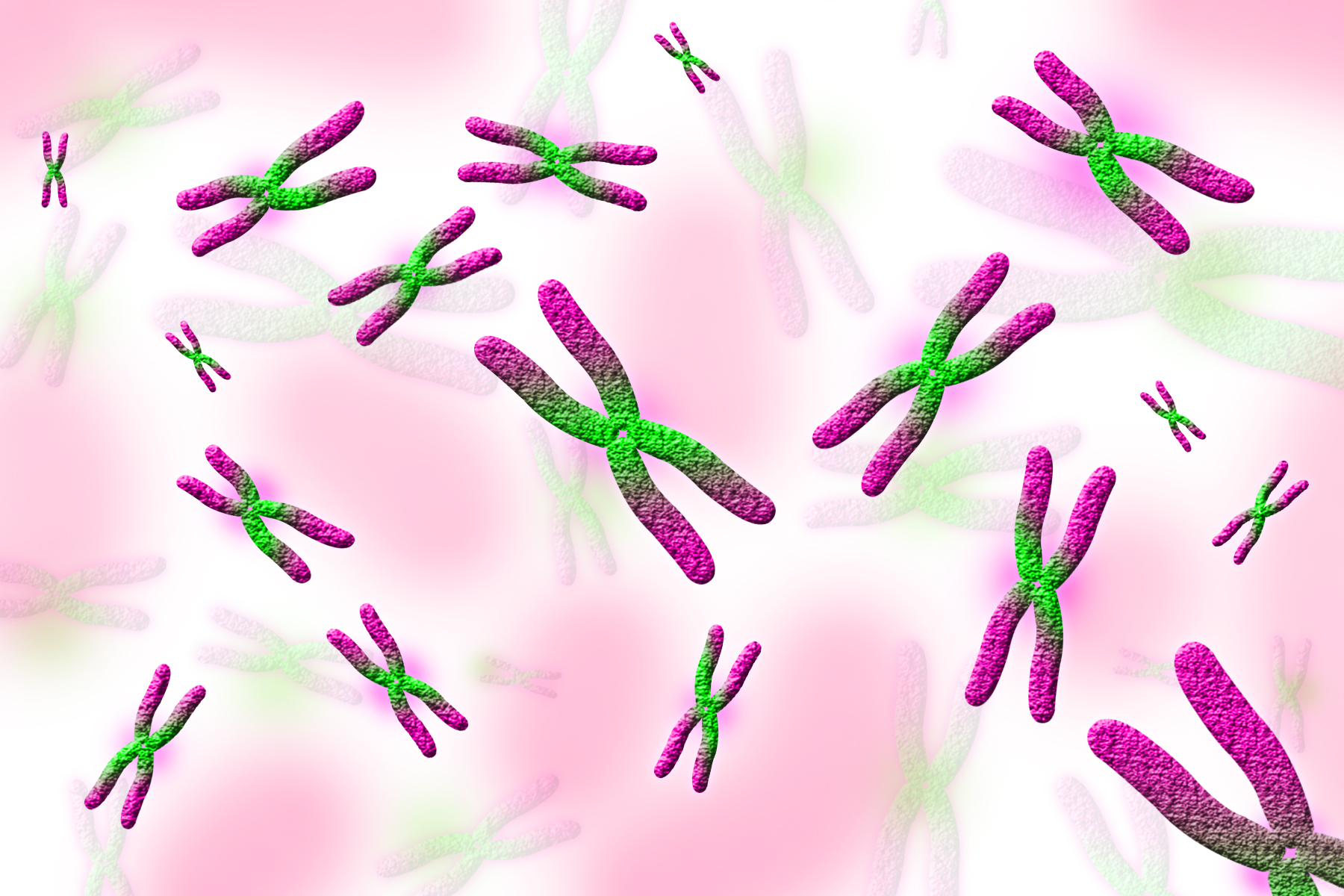 Extra chromosome One in 500 men could be carrying an extra X or Y chromosome, says study.