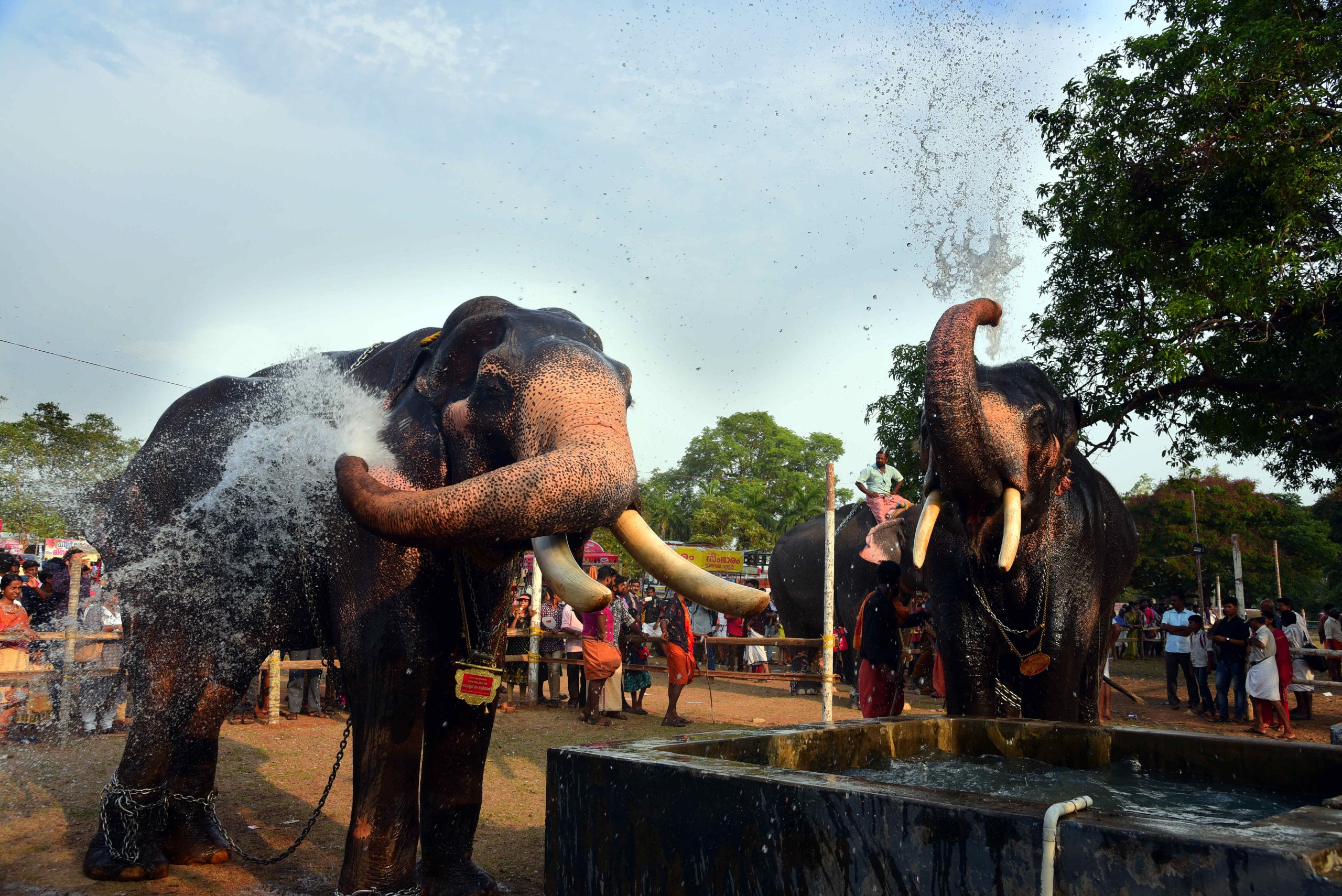 Thrissur Pooram Thrissur Pooram