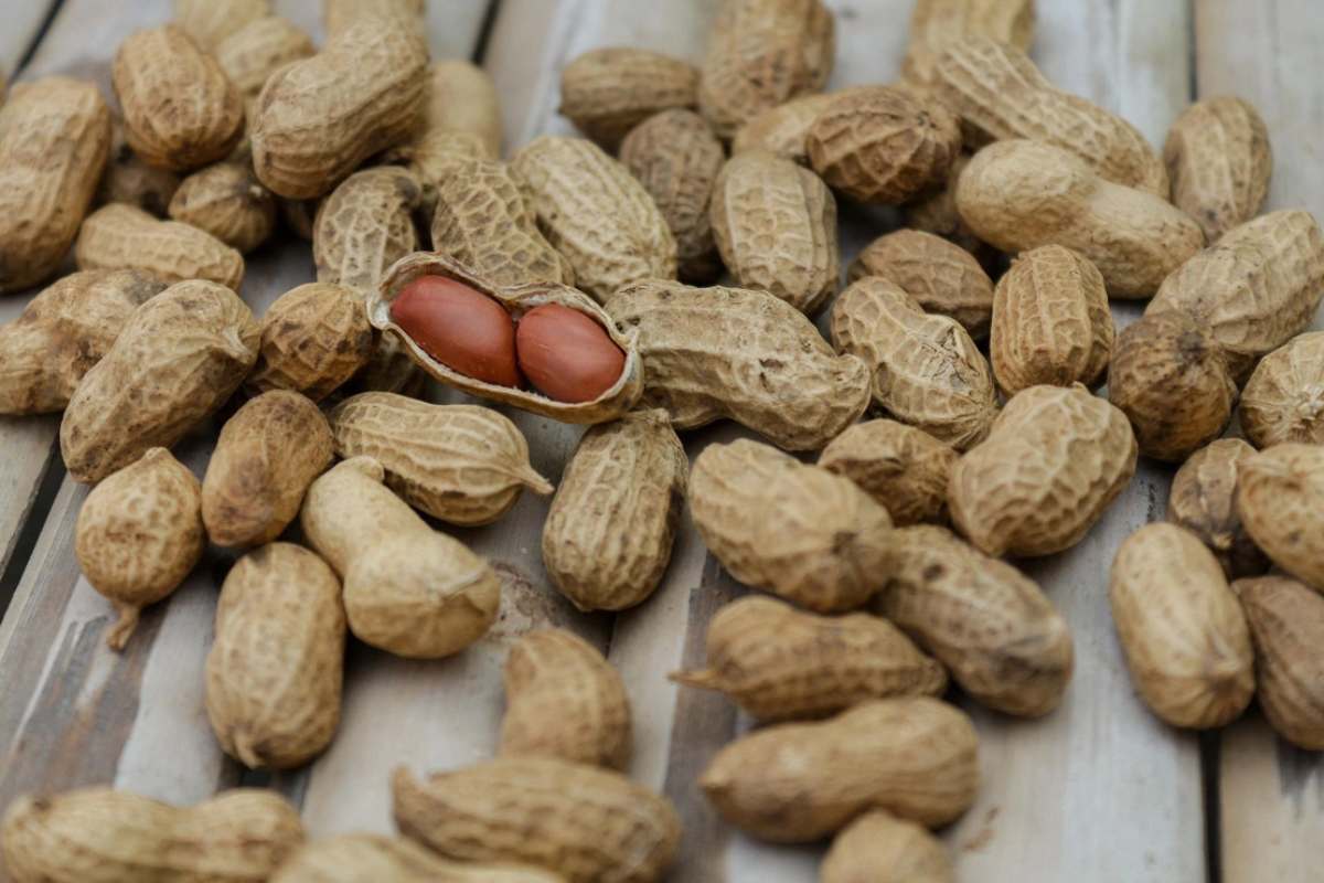 Peanuts Peanuts