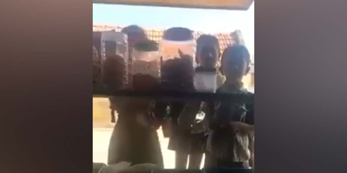 A shopkeeper in Tamil Nadu refuses to sell candies to Dalit children as part of his community's decision to ostracize them. (South First)