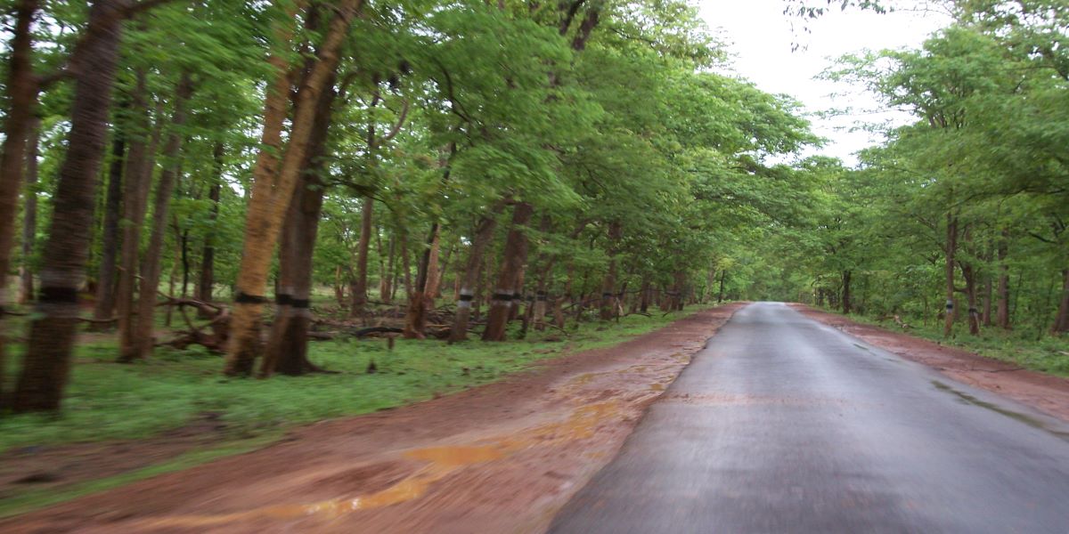 Lambasingi