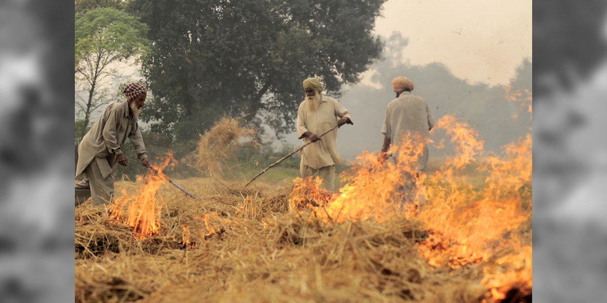Stubble Burning Stubble Burning