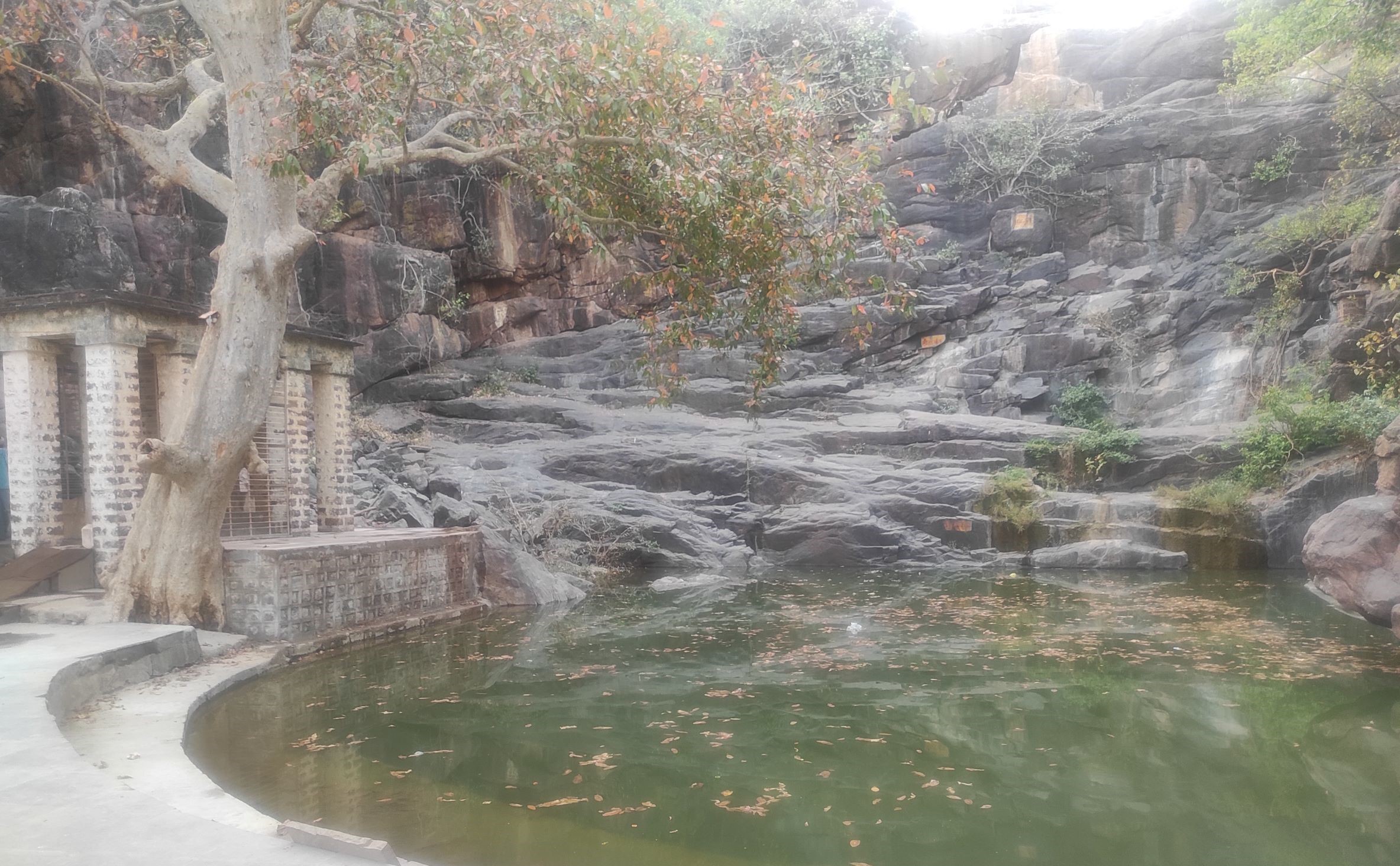 To the left, behind the tree, is the modern building in Rupnath, Madhya Pradesh, that houses an Ashokan rock edict. The language in many of Ashokan rock edicts, especially in central and east India, is Magadhi Prakrit