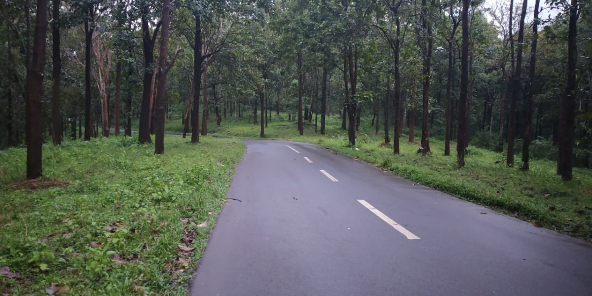 Wayanad. Representative Image