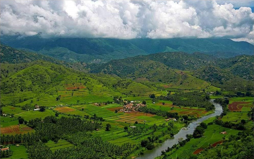 Muthu, 21, hailed from Anavay tribal settlement at Pudur grama panchayat in Attappady, Kerala's tribal heartland in the Palakkad district. (Supplied)