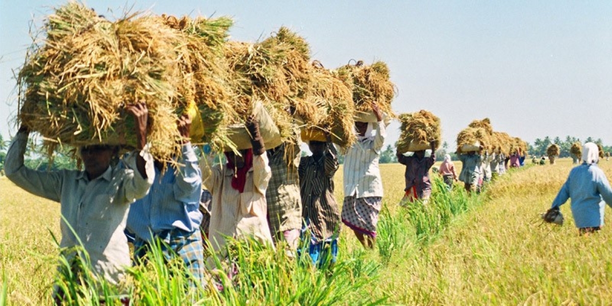 Kerala Farmers Issues Kerala Farmers Issue