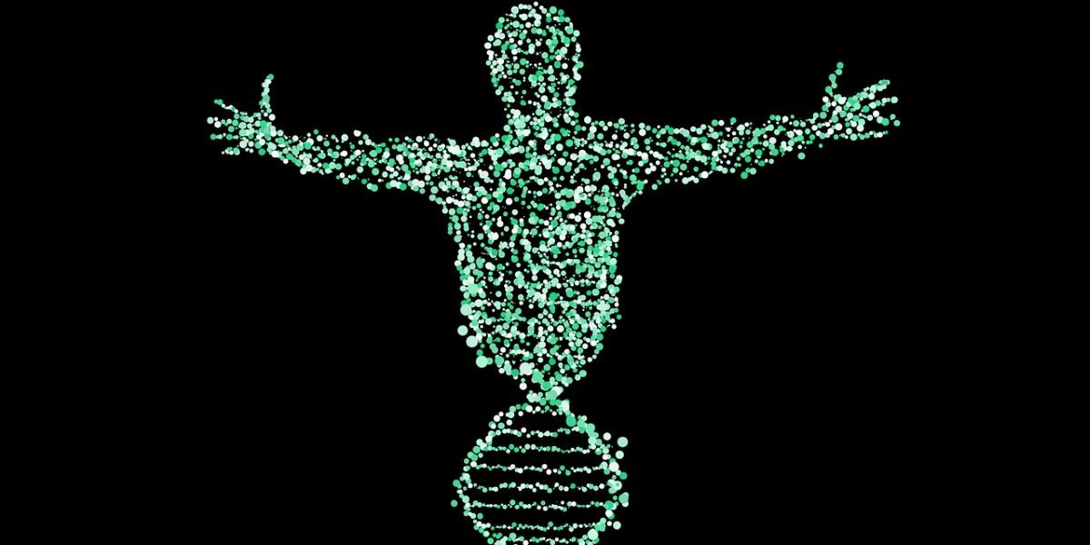 Men slowly losing Y chromosome. (Creative Commons)