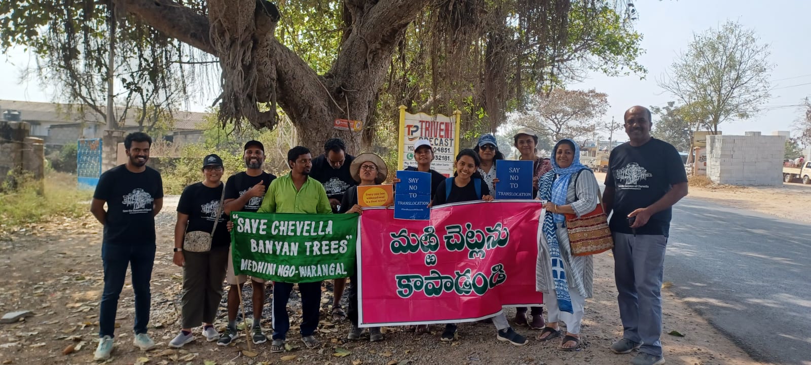 Chevella banyan trees Chevella banyan trees