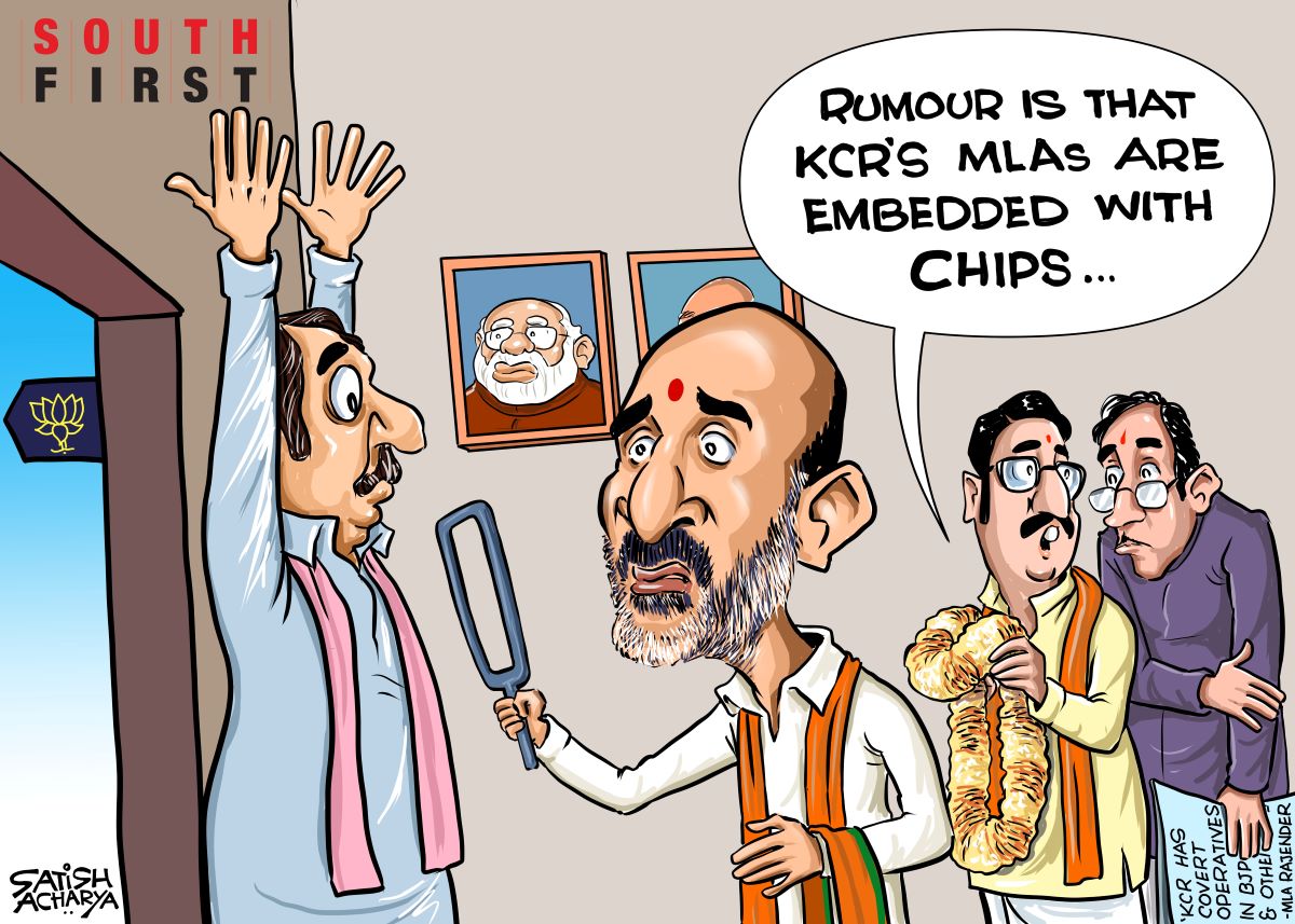 Embedded politcs