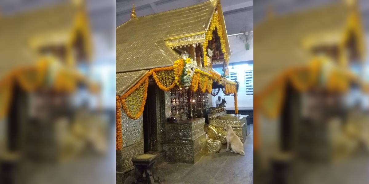 New Project (6) A temple where dogs are brought for their naming ceremony — and good health