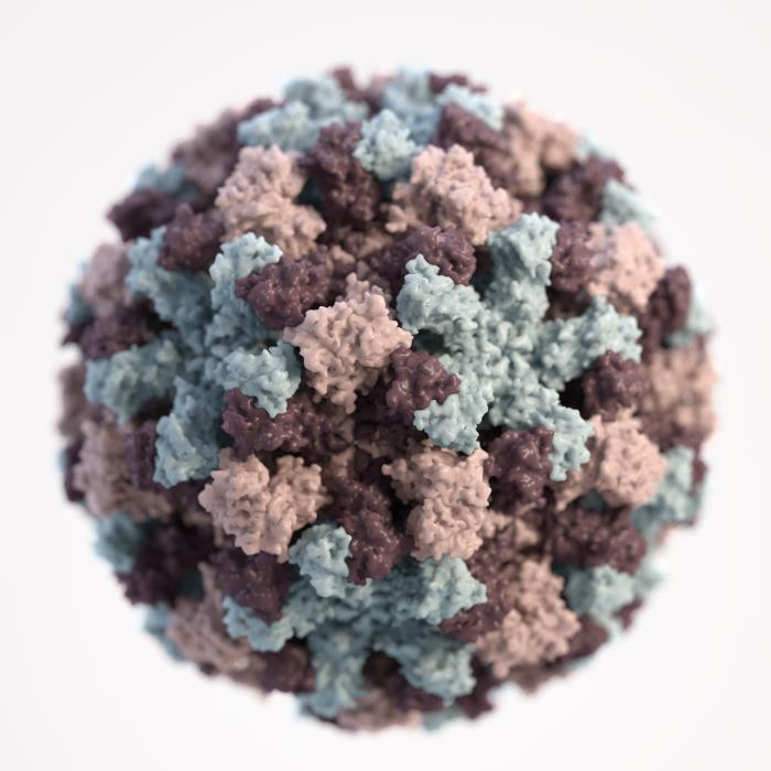 Norovirus confirmed in two school students in Kochi, Health Department intensifies preventive measures