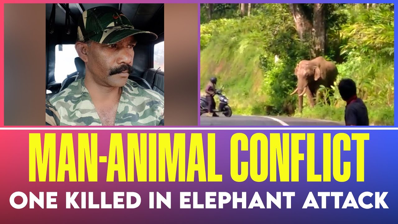 Elephant attack Idukki