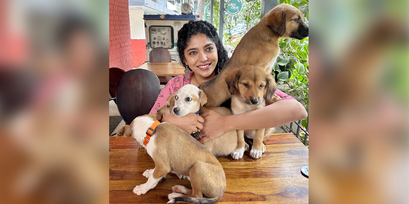 samyukta hornad praana animal welfare samyukta hornad praana animal welfare