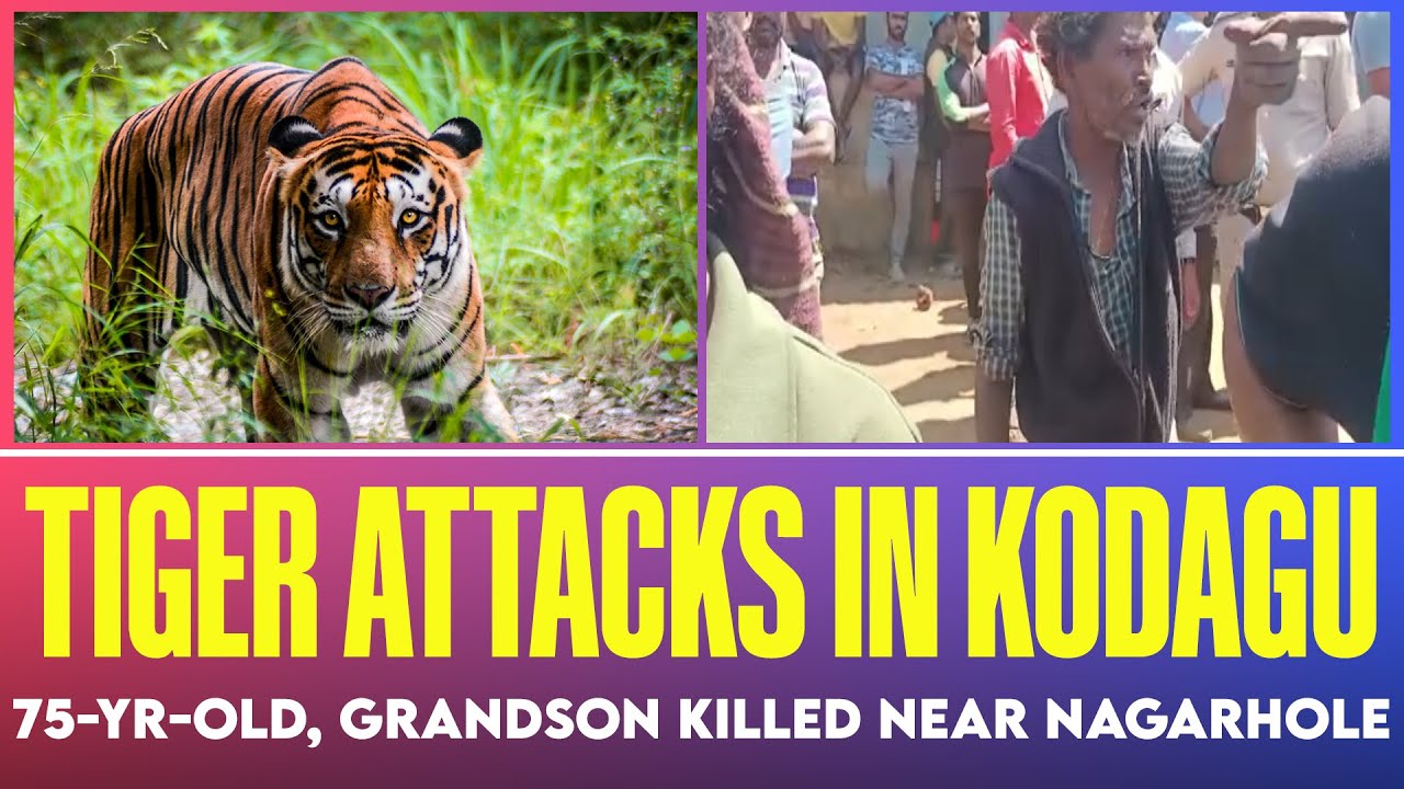 Kodagu Tiger attack