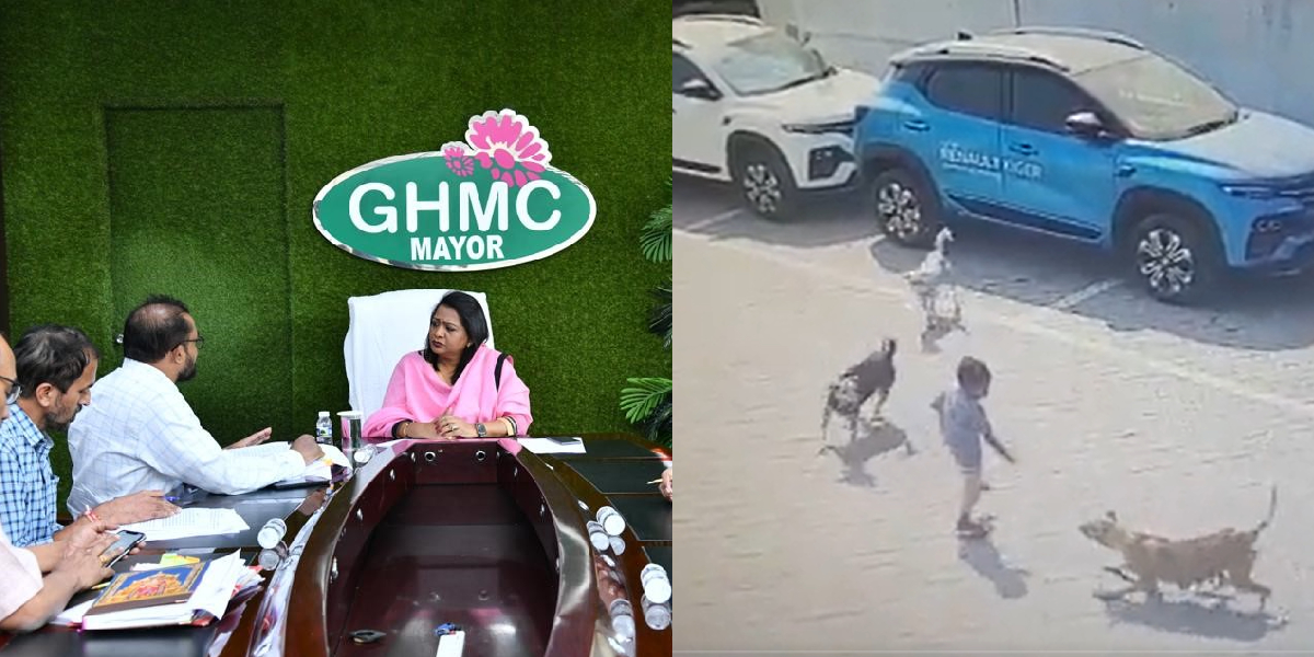 75% of stray dogs in Hyderabad have already been sterilised, says GHMC as 4-year-old mauled to death 75% of stray dogs in Hyderabad have already been sterilised, says GHMC, as 4-year-old mauled to death