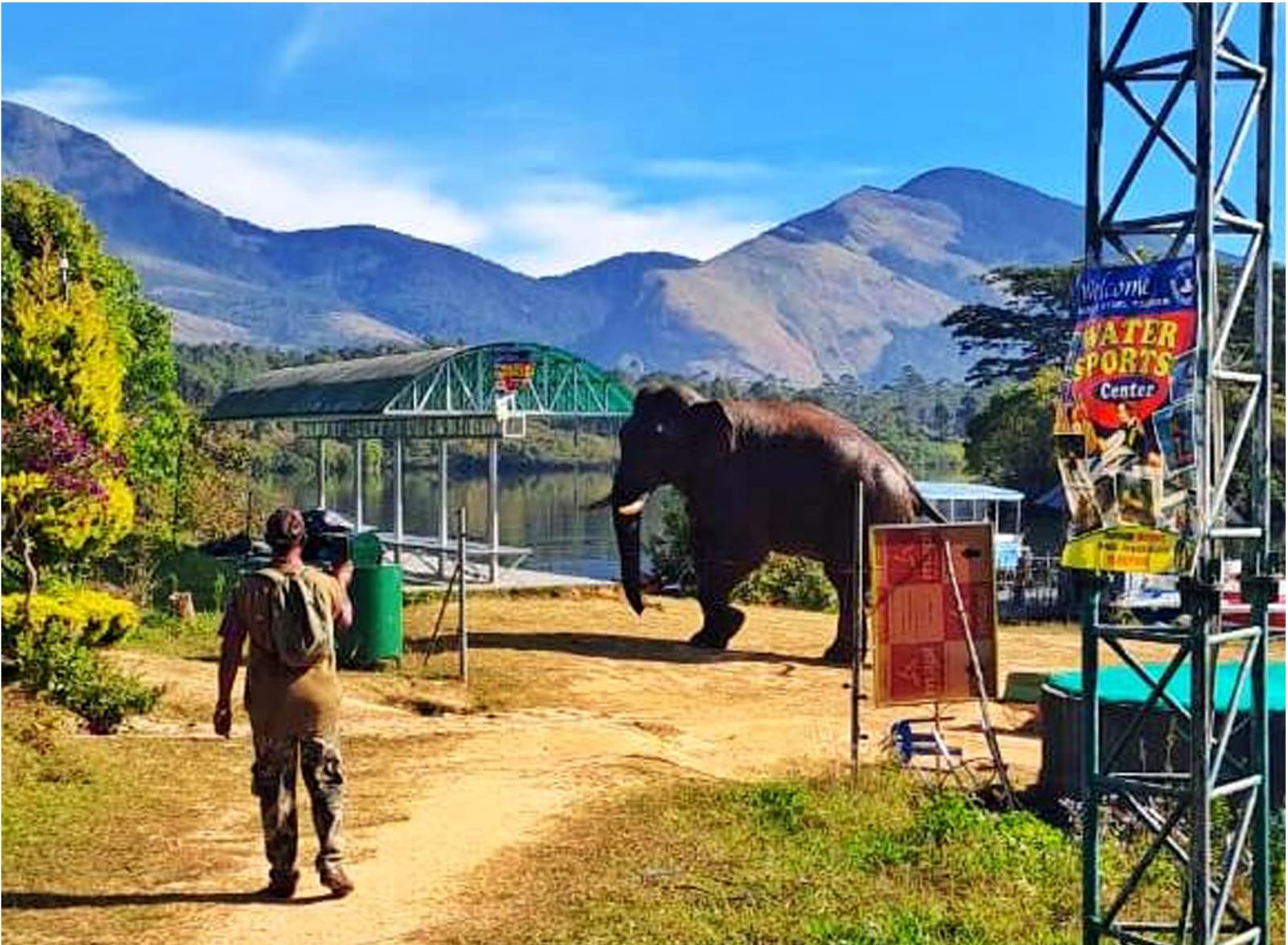 The elephant Chakka Komban. (Jomon George)