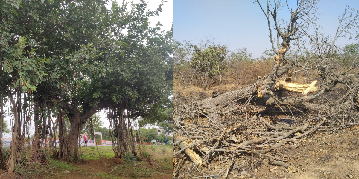The NHAI was supposed to submit its response on 13 February, but the hearing has been postponed to 21 February.