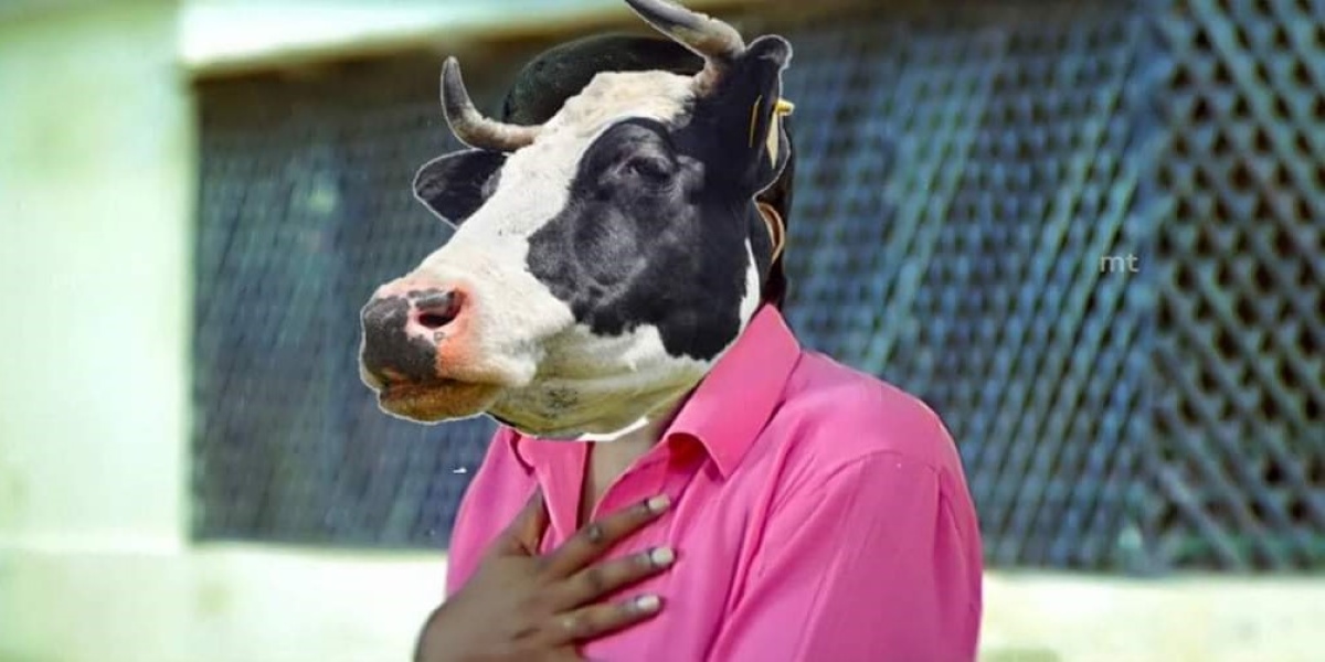 Hug your own Valentine: Animal Welfare board revokes its circular on ‘Cow Hug Day’