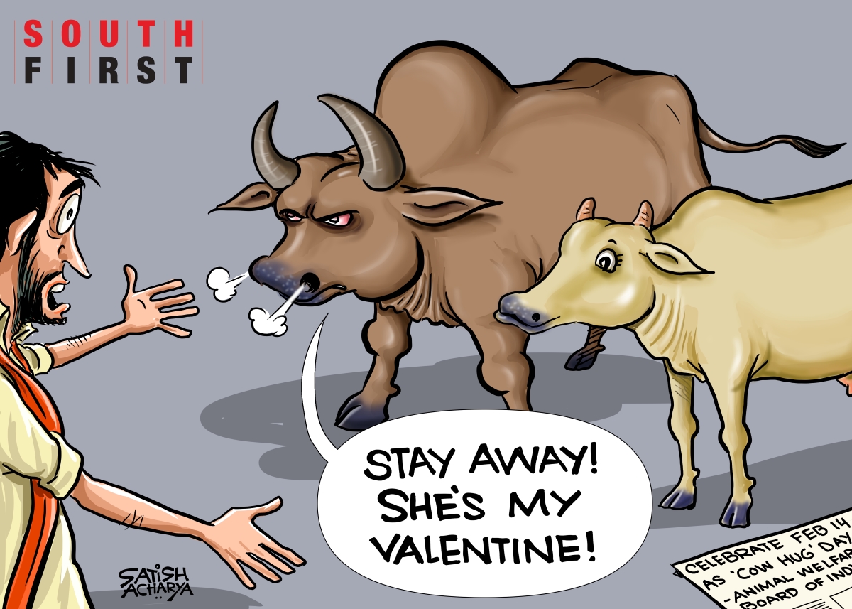 Getting a-moo-rous!