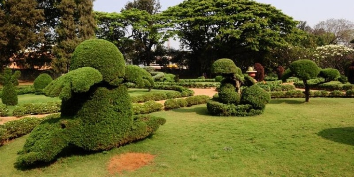 Botanical garden in Hyderabad. (Creative Commons) Telangana Forest cover