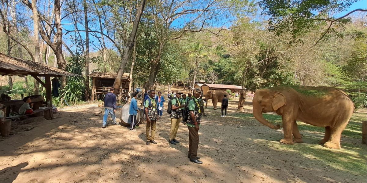 Mahouts and cavadies during their training in Thailand. (supriyasahuias/Twitter) Tamil Nadu mahouts Thailand