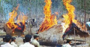 Police violence after the Muthanga tribal agitation in Wayanad, Kerala (Supplied)