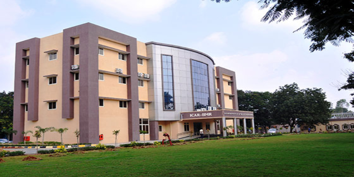 IIMR budget IIMR budget