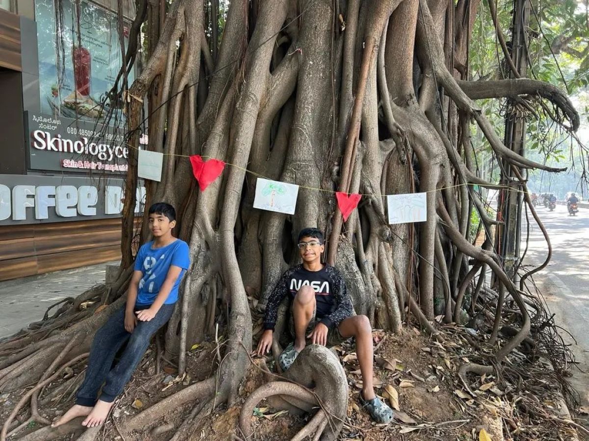 One of the heritage trees marked for axing for the upcoming Sankey Road Flyover project in Bengaluru One of the heritage trees marked for axing for the upcoming Sankey Road Flyover project in Bengaluru