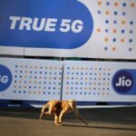 Monkey on the circuit at the Formula E race in Hyderabad
