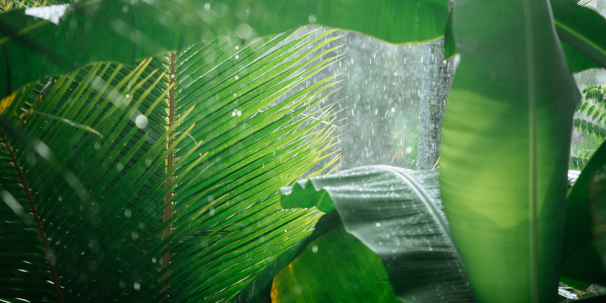 Acid rain in Kochi. Representational Image. (iStock) Acid rain in Kochi. Representational Image. (iStock)
